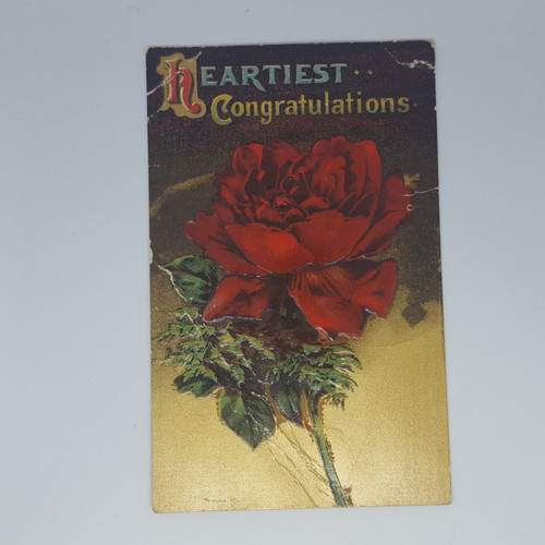 Heartiest Congratulatins - rose (6-10-782)