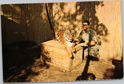 Cedar Point - Jungle Larry's Safari Island tiger