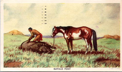 Buffalo Pony