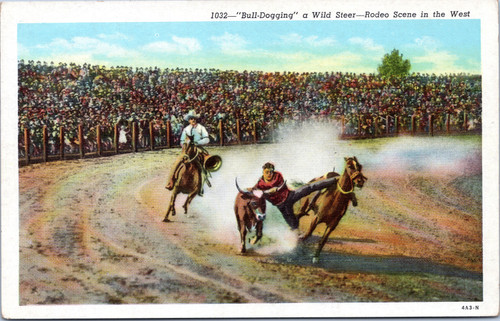 Bull-Dogging a Wild Steer -- Rodeo Scene in the West