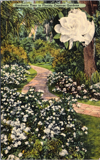 Cypress Gardens