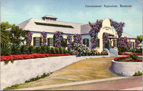 Government Aquarium, Bermuda