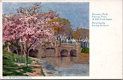 Potomac Park Cherry Trees from Painting by Lesley Jackson
