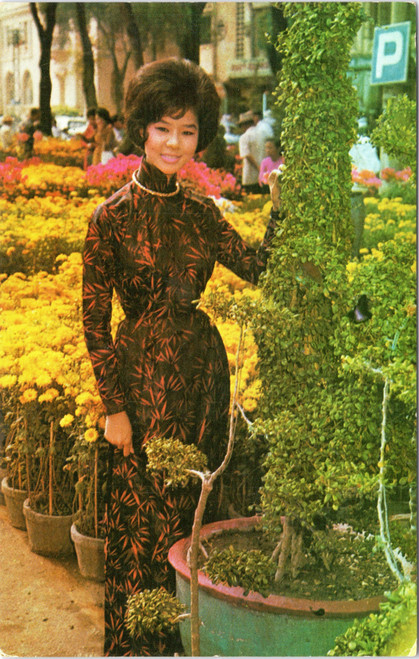 Young Vietnamese lady wearing traditional  dress Ao Dai