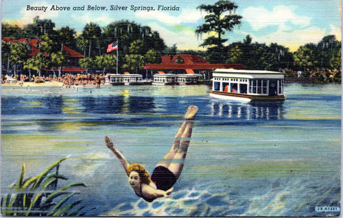 Beauty Above and Below, Silver Springs, Florida