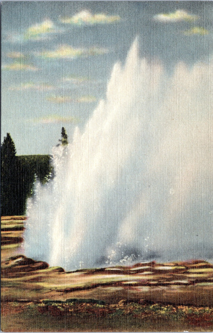 Daisy Geyser (24-14-591)