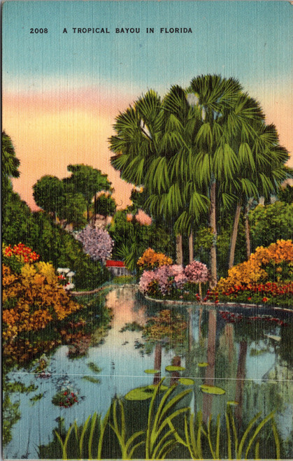 A Tropical Bayou in Florida (25-15-343)