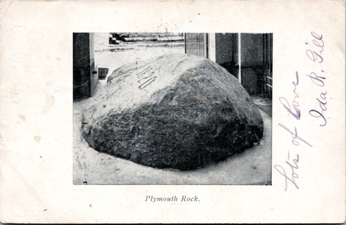 Plymouth Rock (26-15-872)