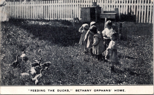 Feeding the Ducks - Bethany Orphans' Home