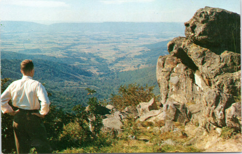 Man looking out over Shenandoah Valley on the Skyline Drive