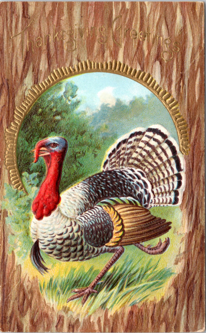 Thanksgiving Greetings (27-16-516)