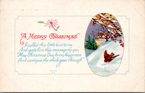 Merry Christmas - bird flying  (27-16-592)