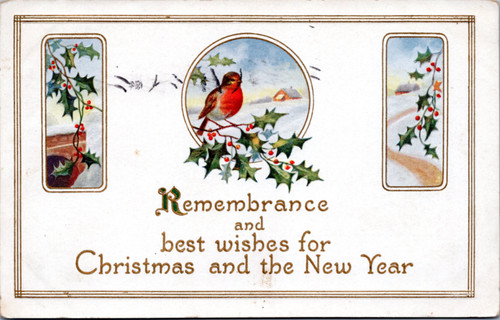 Remembrance and best wishes - bird and holly (27-16-646)