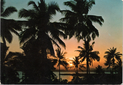 Sunset at the Coast, Tropical Evening, Mombasa