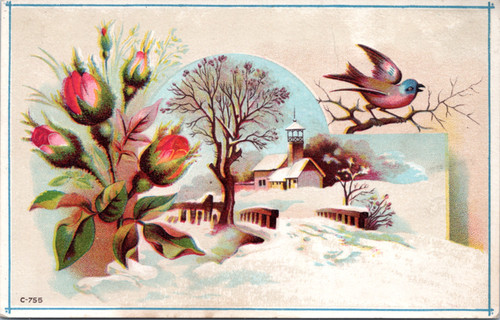 Woolson Spice -Winter scene with church bird and flowers