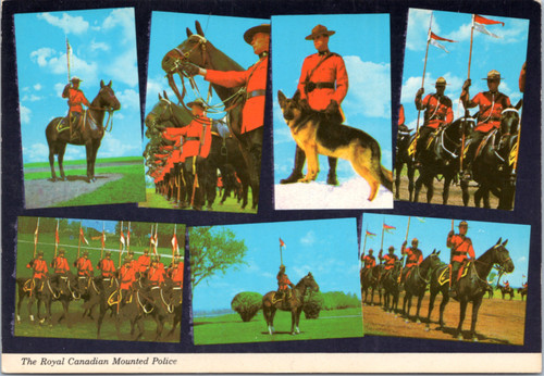 Roual Canadian Mounted Police multiview  (28-17-631)