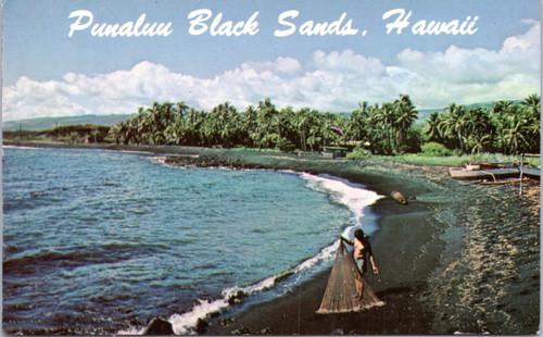 Punaluu Black Sands - net fisherman