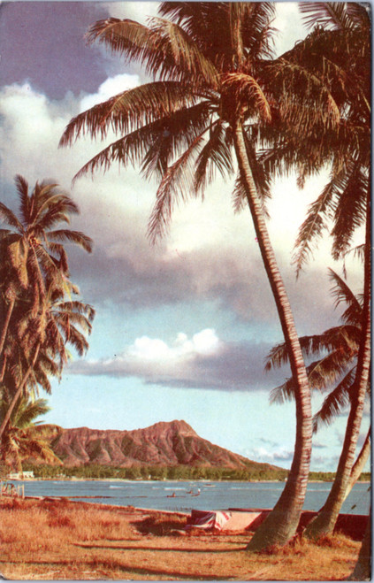 Palm Tree and Diamond Head - Union Oil