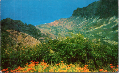 Postcard Hawaii Kauai - Kalalau Valley