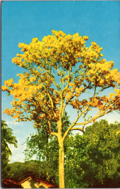 Gold Tree (31-19-198)