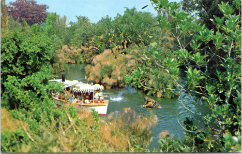 Disneyland - Jungle Cruise