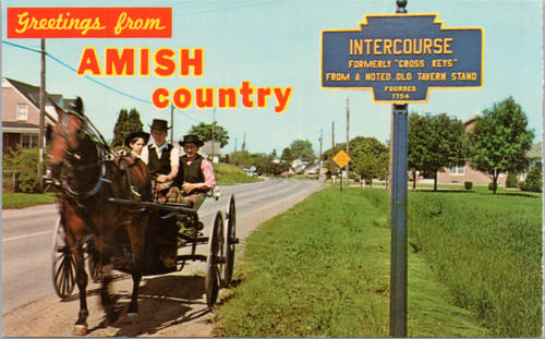 Greetings from Amish Country - horse and buggy Intercourse PA SIGN