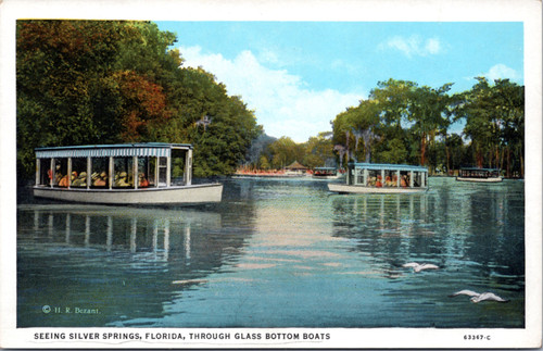 Silver Springs - view of boats on water  (30-20-226)