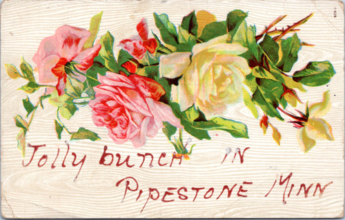 Postcard MN Pipestone - Jolly bunch in flowers carnation