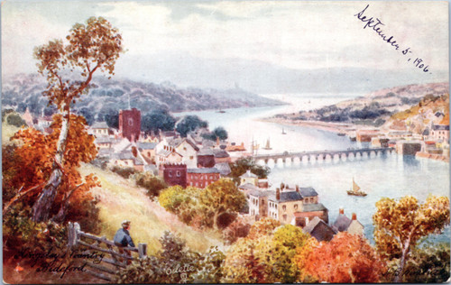 Bideford - man on fence, view of town and bridge