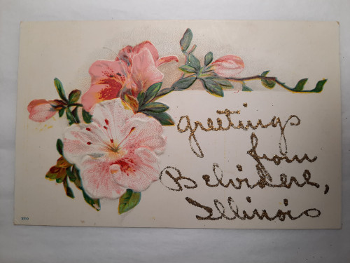 Postcard floral IL Belvidere greetings