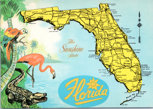 Florida Greeting Souvenir Pen Map - Rotating View Best Of Florida Souv –