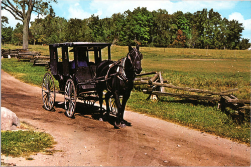 Horse & Carraige buggy on country road in Amish Farmland