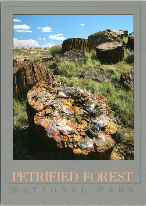 Petrified Forest National Park postcard