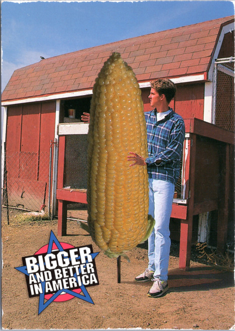 postcard oversize exaggerated corn