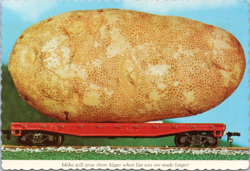 postcard oversize exaggerated potatoes