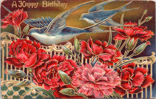 A Happy Birthday - Blue Jays and Carnations