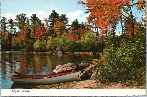 Idyllic Scene - rowboat on lake shore