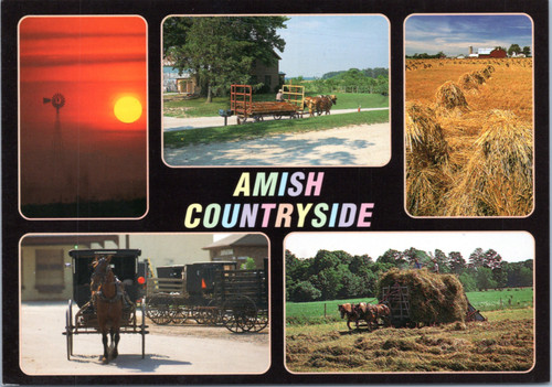 Postcard Amish