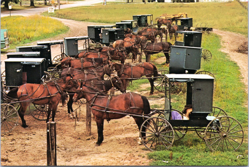 Postcard Amish