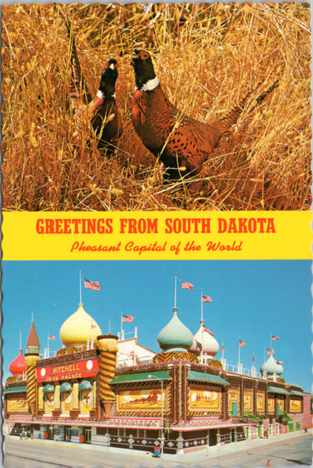 Greetings from South Dakota Pheasant Capitol of the World - Corn Palace