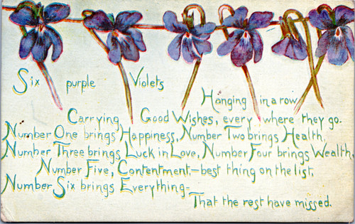 Six purple violets hanging in a row