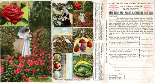 Buckbee's tri-fold seed advertisement postcard