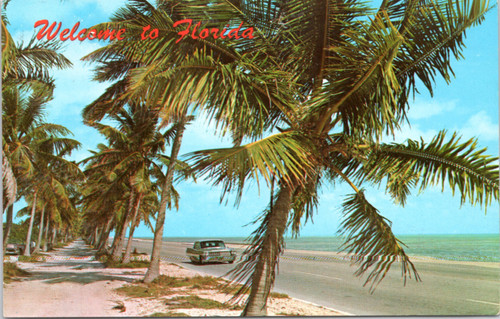 Welcome to Florida - Car driving along Florida highway with palm trees and ocean