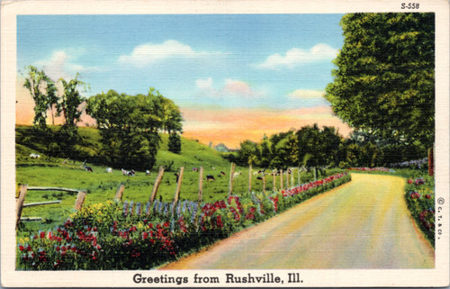 Postcard Rushville Illinois