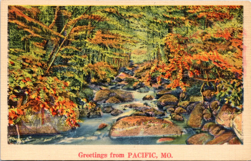 Greetings from Pacific, Mo. - NYCE Landscape