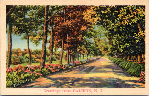 Califon new jersey