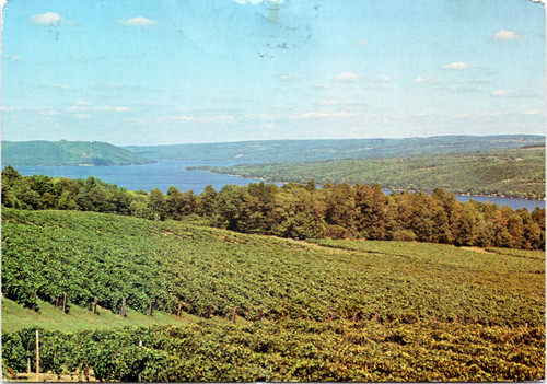 Keuka Lake Vacation Spot