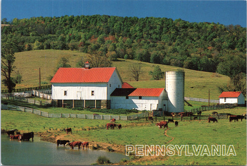 Pennsylvania Farm Scene - Barn Silo Cows