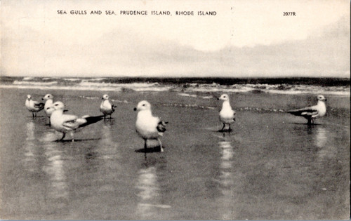 Prudence Island RI