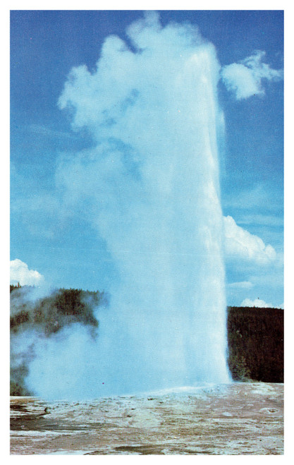 Postcard Yellowstone - Old Faithful